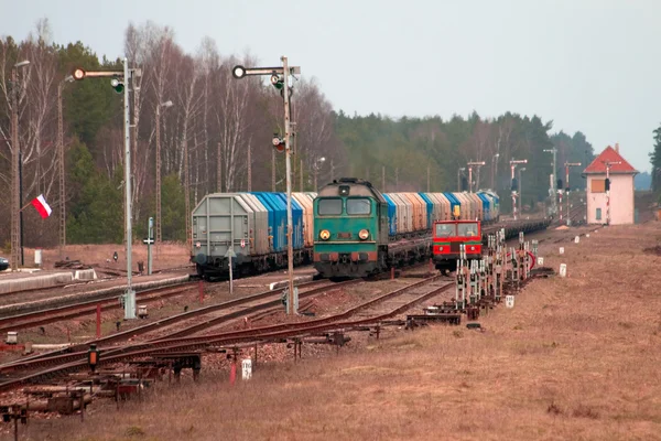 Vonatokat az állomáson — Stock Fotó