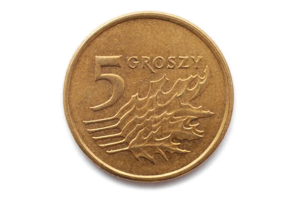 stock image Polish coin