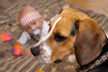 Bebek bir köpekle oynar