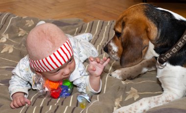 Bebek bir köpekle oynar