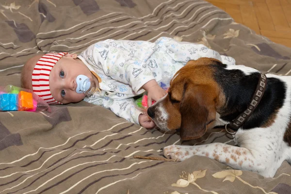 Baby plays with a dog — Stock Photo, Image