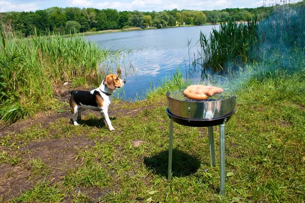 stock image Grilling at summer weekend