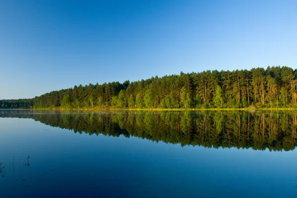 Пейзаж у озера — стоковое фото