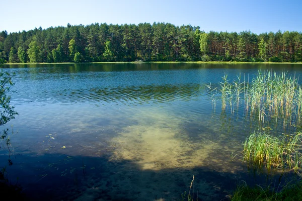 Landskap vid sjön — Stockfoto