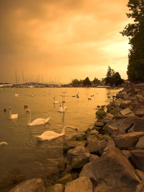 Storm over lake Balaton clipart