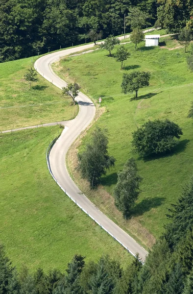 stock image Mountain road