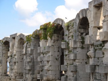 arles, Roma arenas