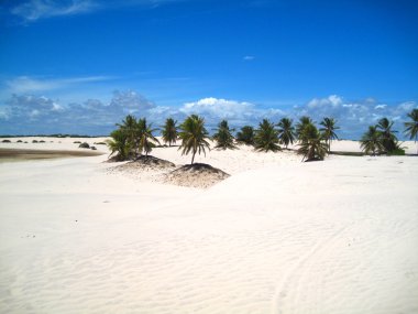 tropikal Beach güzel bir sahne