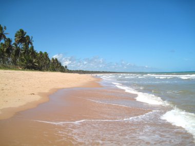 tropikal Beach güzel bir sahne