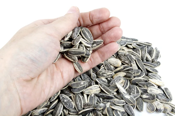 Mão com sementes de girassol — Fotografia de Stock