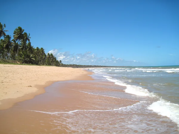 Piękna scena tropikalnej plaży — Zdjęcie stockowe