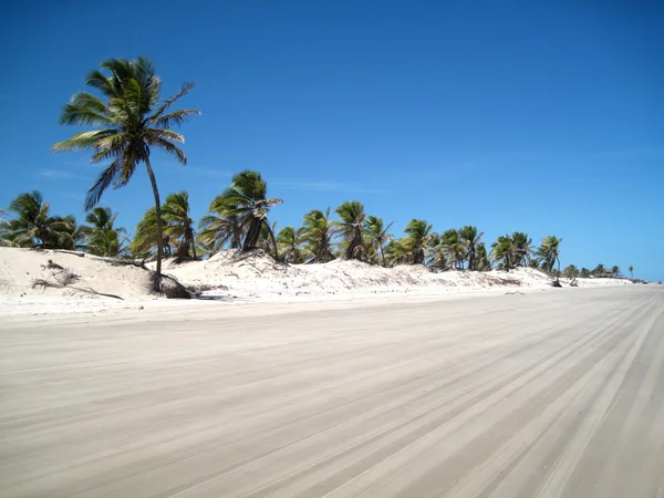 Krásná scéna tropickou pláž — Stock fotografie