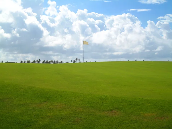Palmbomen op luxe golfbaan — Stockfoto