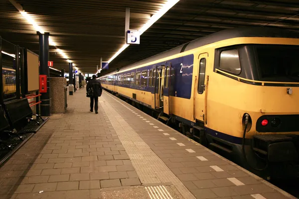 Na vlakovém nádraží v Haagu, nethe — Stock fotografie