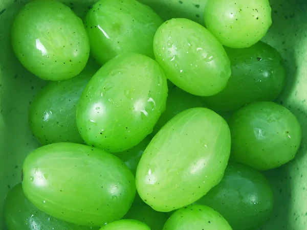Frutos de uva húmedos — Foto de Stock