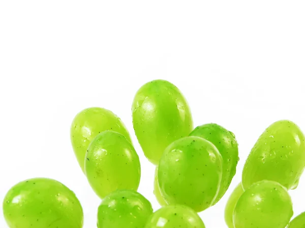 Wet grapes fruits — Stock Photo, Image