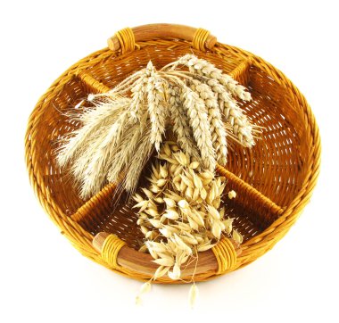 Crop in basket clipart