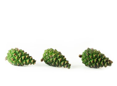 Three green cones in row pine clipart