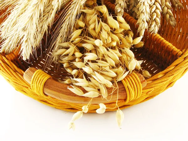 Crop in basket — Stock Photo, Image