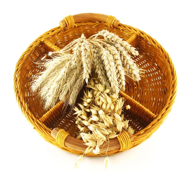 Crop in basket — Stock Photo, Image