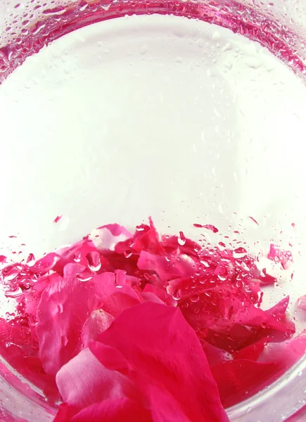 Backgroud with roses petals — Stock Photo, Image