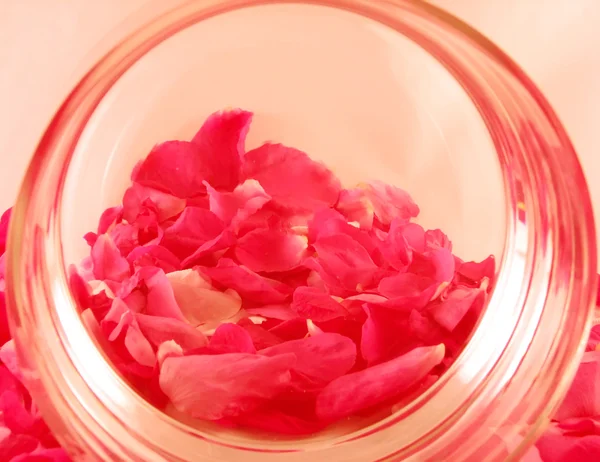 Hintergrund mit Rosenblättern — Stockfoto