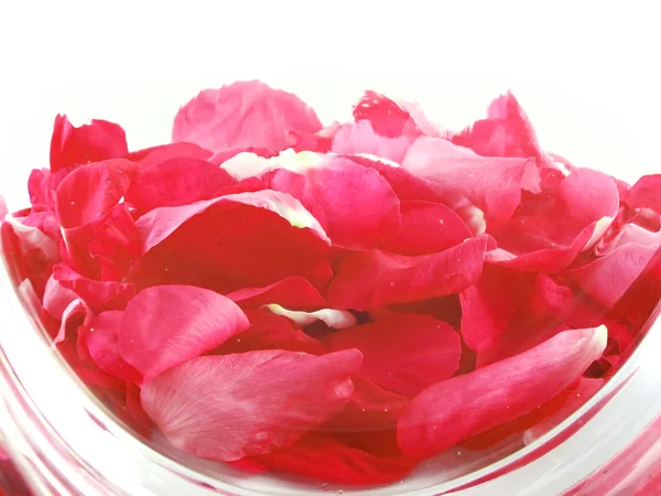 Backgroud with roses petals — Stock Photo, Image