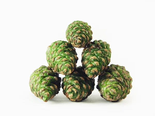 Green pine cones — Stock Photo, Image