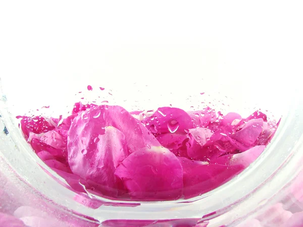 Backgroud с лепестками роз — стоковое фото