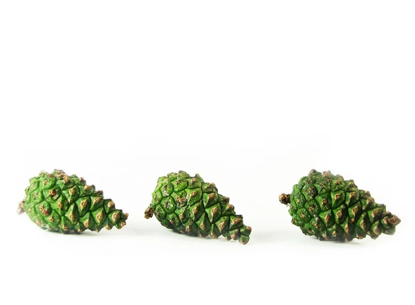 Trzy zielone szyszki w wierszu sosna — Zdjęcie stockowe