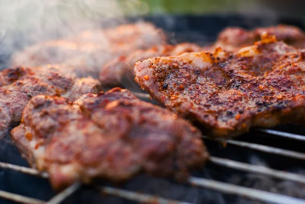 Stekt kjøtt på grillen . – stockfoto