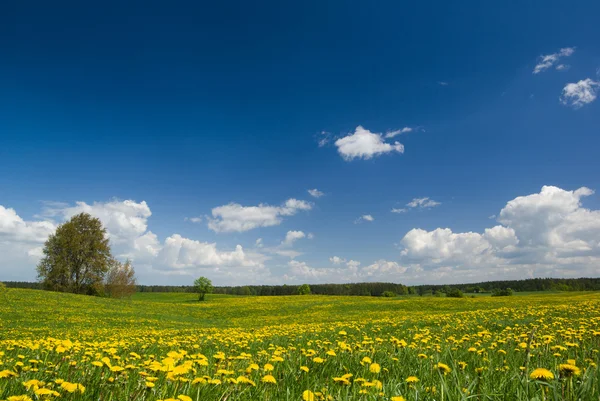 Våren landskap. — Stockfoto