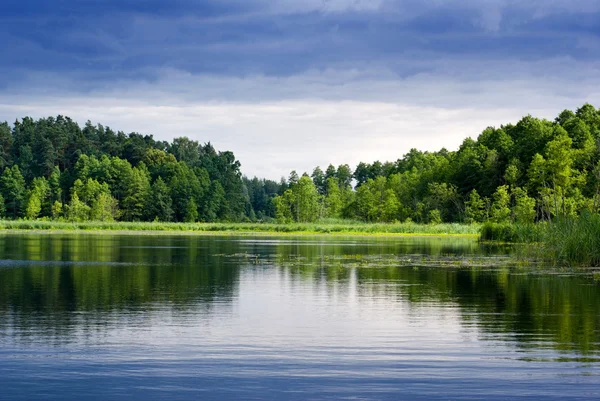 Lago y bosque. — Foto de Stock