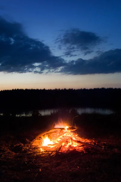 Campfire. Stock Image