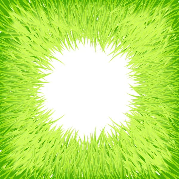 Травяной круглый кадр — стоковый вектор