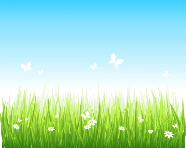Grasgrüne Wiese und blauer Himmel — Stockvektor