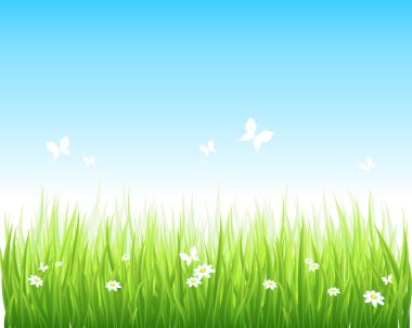 Grassy green field and blue sky clipart