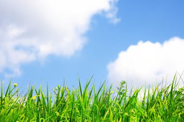 Grass and sky clipart