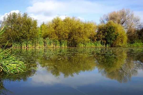 Lake reflectie — Stockfoto