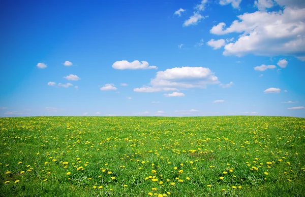 Spring landscape — Stock Photo, Image