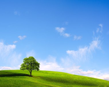 Lone tree clipart