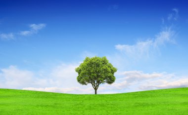 Field, tree and blue sky clipart