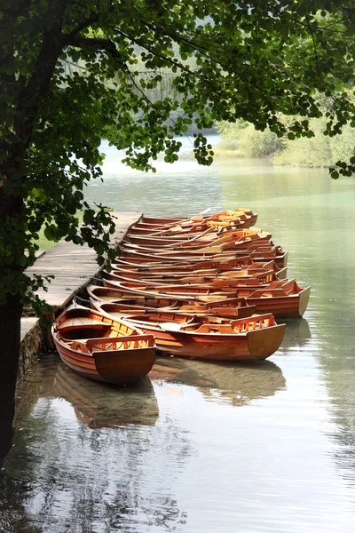 stock image Canoes