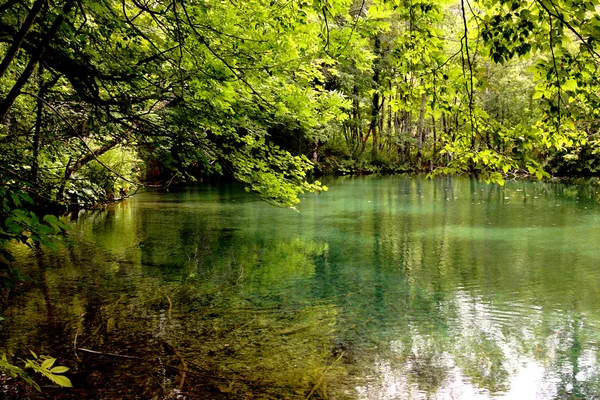 Zielone jeziora - rezerwat przyrody — Zdjęcie stockowe