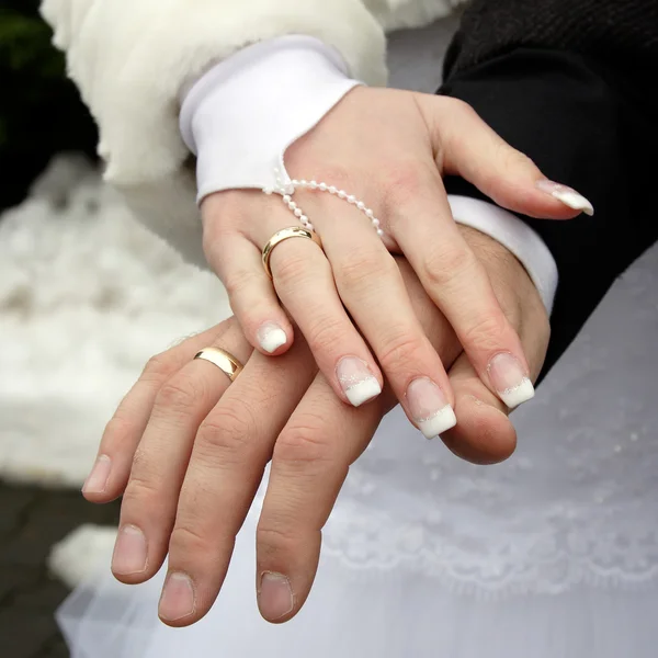 stock image Wedding Rings