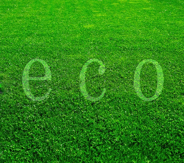 Eco grama — Fotografia de Stock