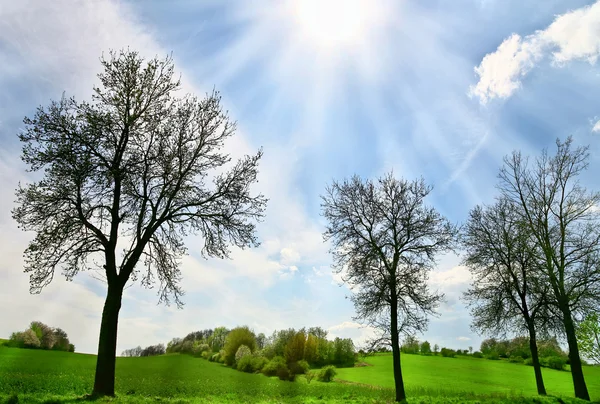 Beautiful spring day Stock Image