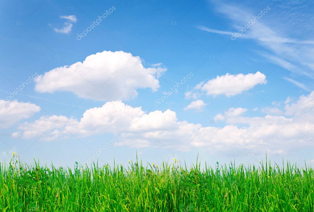 Grass, blue sky