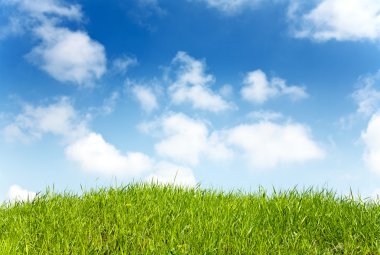 Grass and Sky clipart