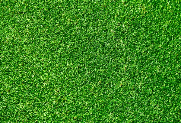 Fundo de grama - campo de golfe — Fotografia de Stock